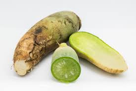 Radis Green meat