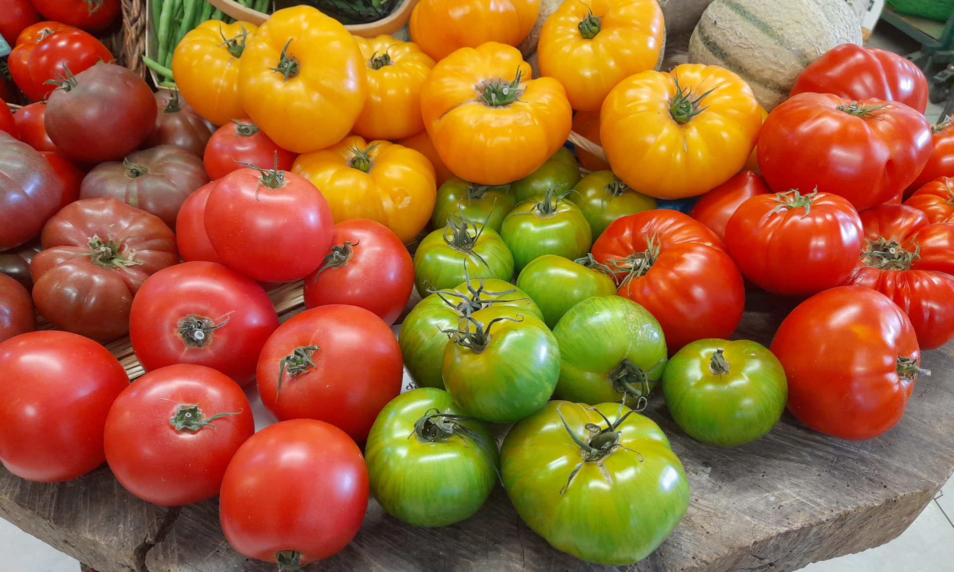 Tomate mixte couleur BIO